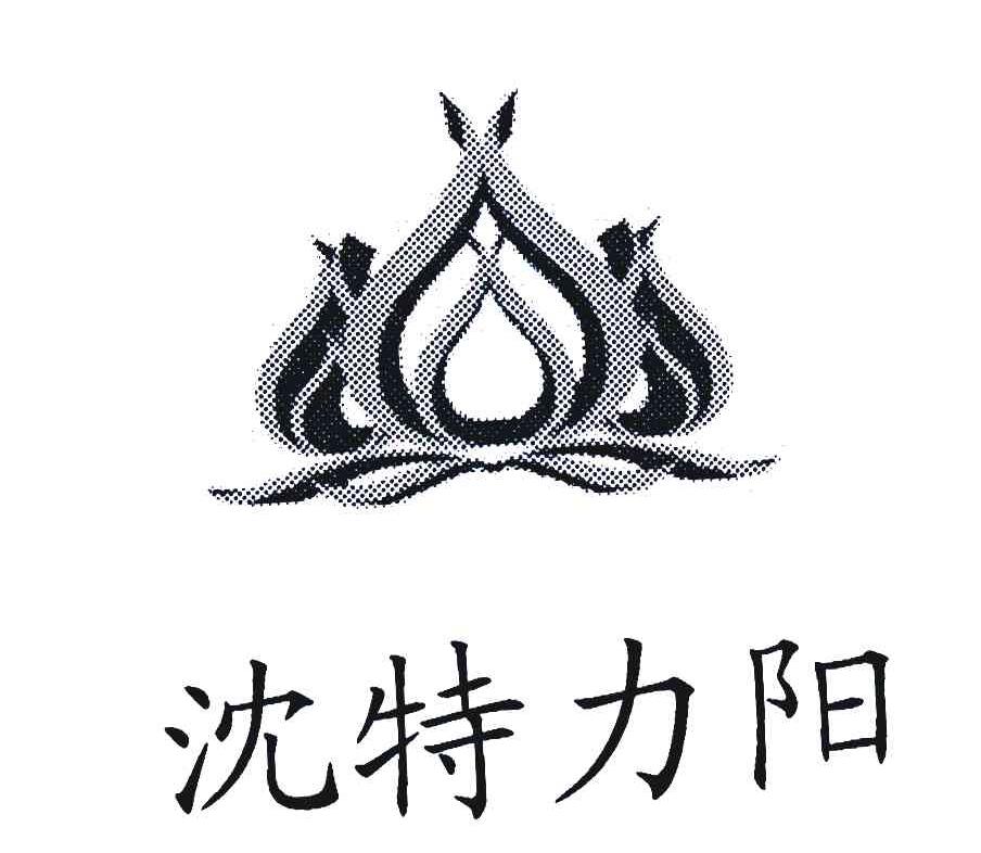 沈特力阳