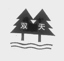 双天