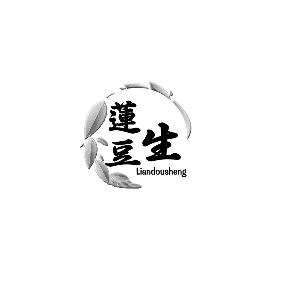 莲豆生