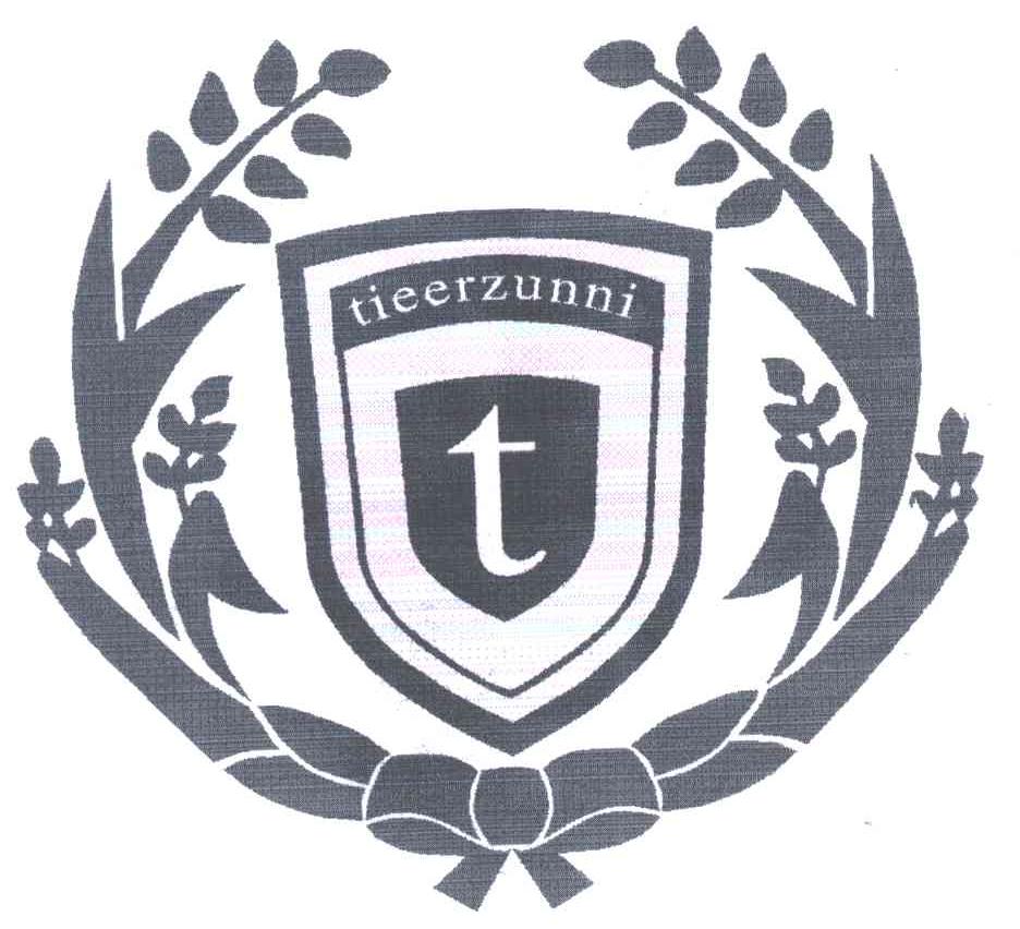 TIEERZUNNI及T图形