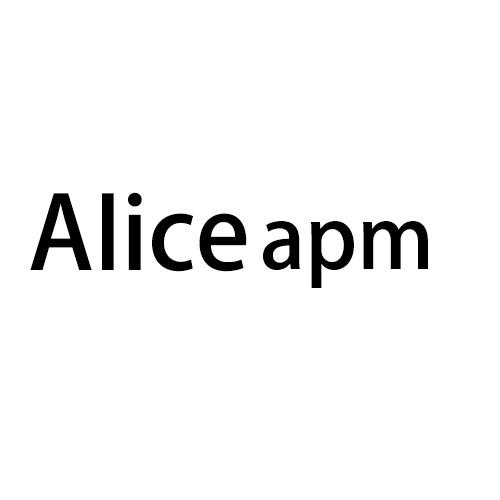 ALICE APM