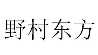 野村东方