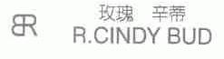 玫瑰 辛蒂;R.CINDY BUD