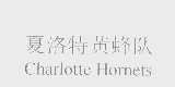 夏洛特黄蜂队   CHARLOTTE HORNETS