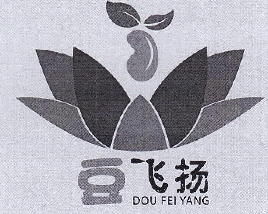 豆飞扬