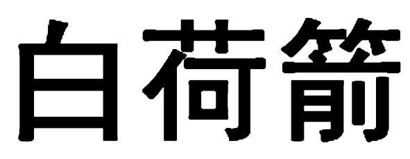 白荷箭