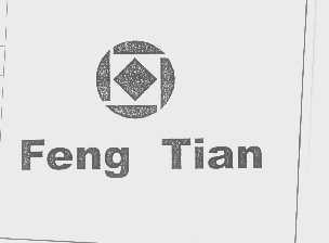 FENG TIAN
