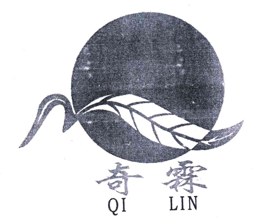 奇霖