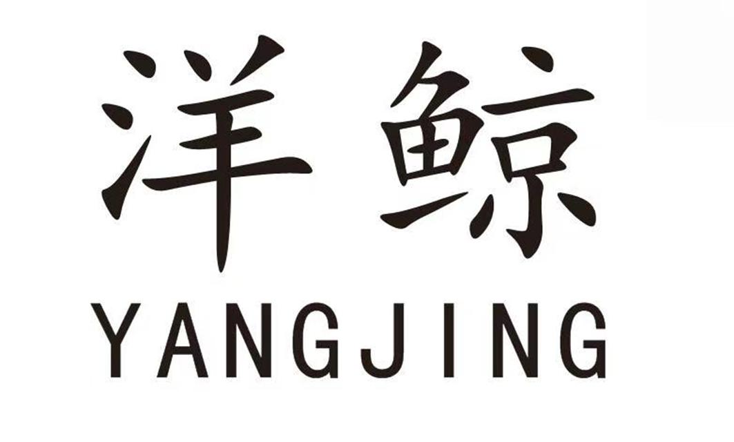 洋鲸