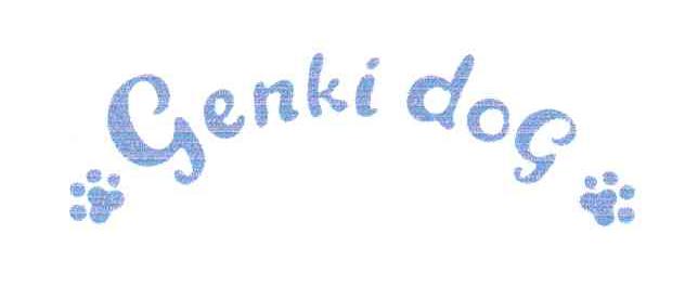 GENKI DOG