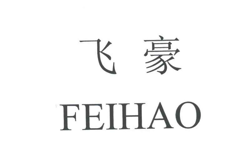 飞豪