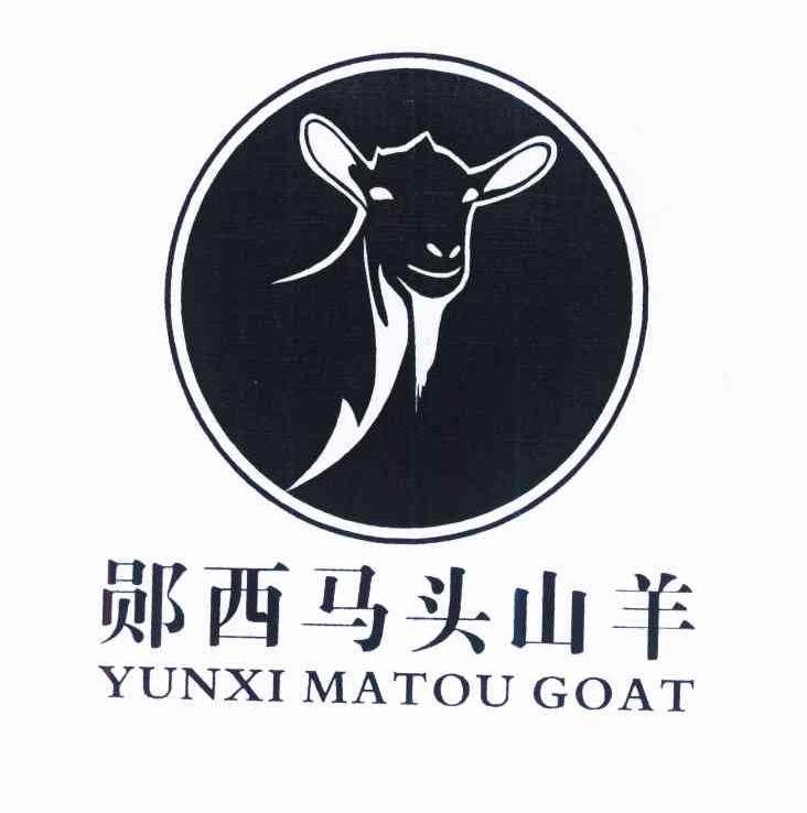 郧西马头山羊 YUNXI MATOU GOAT