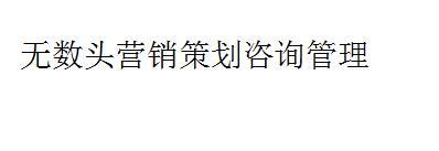 无数头营销策划咨询管理