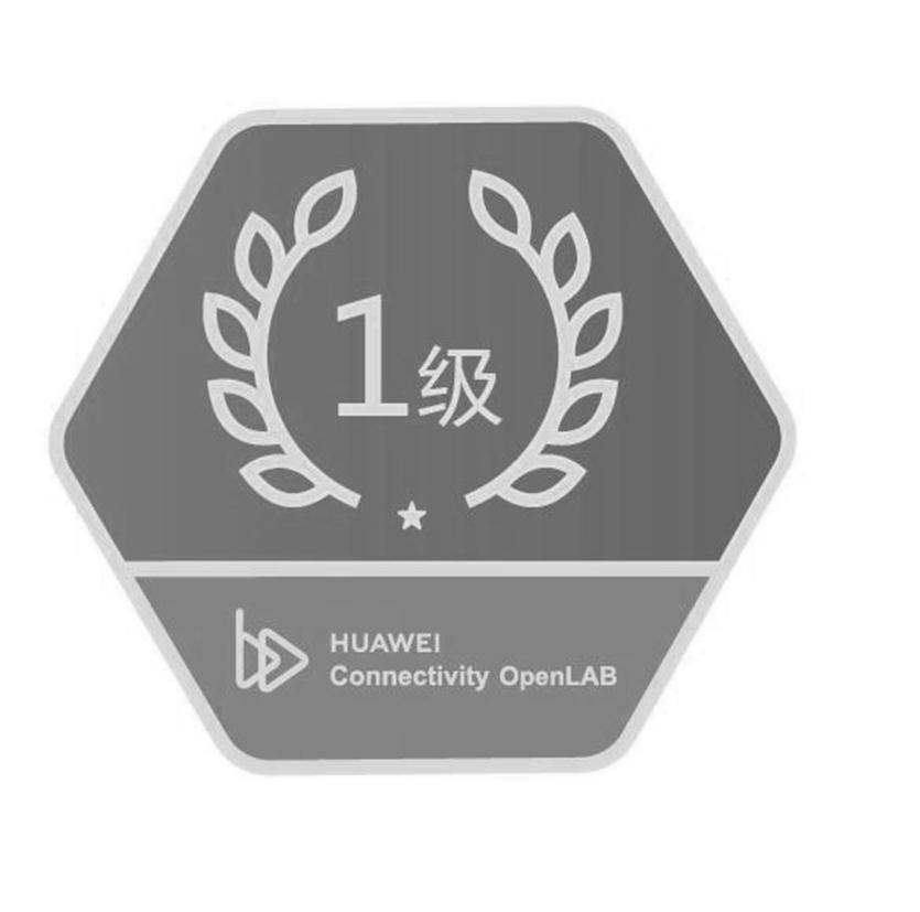 1级 HUAWEI CONNECTIVITY OPENLAB