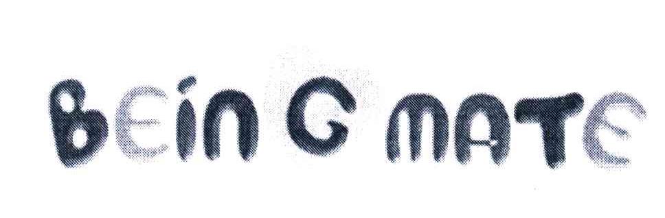 BEINGMATE