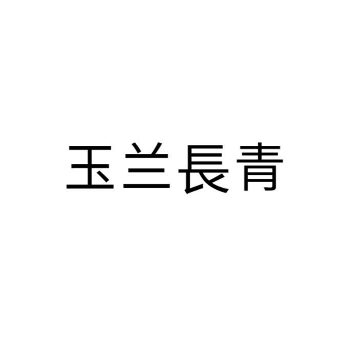 玉兰长青