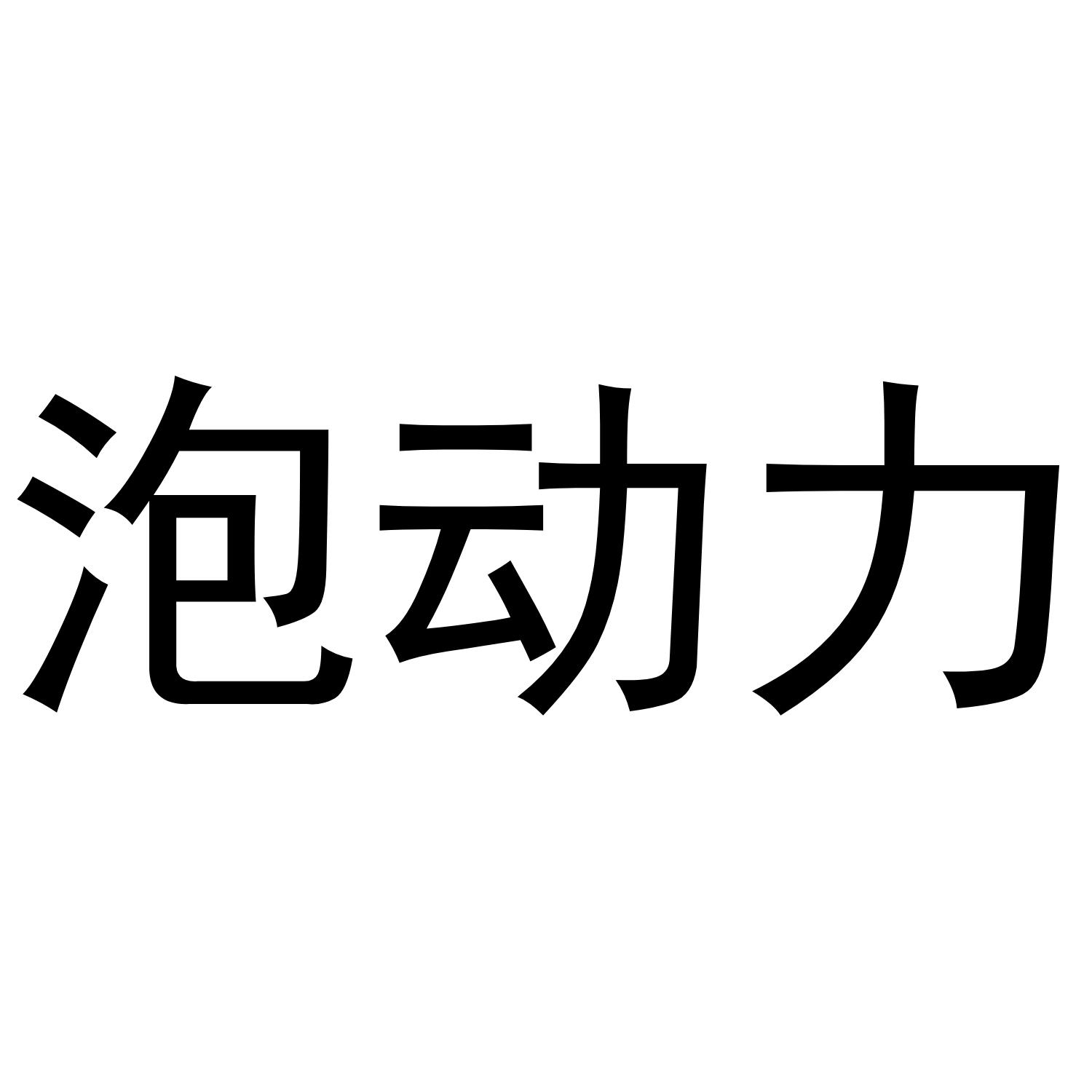 泡动力