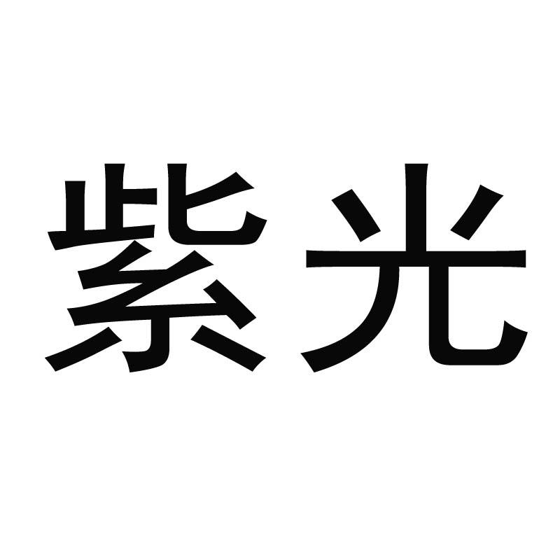 紫光