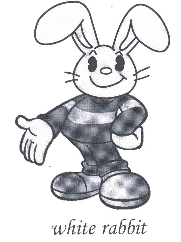 WHITE RABBIT