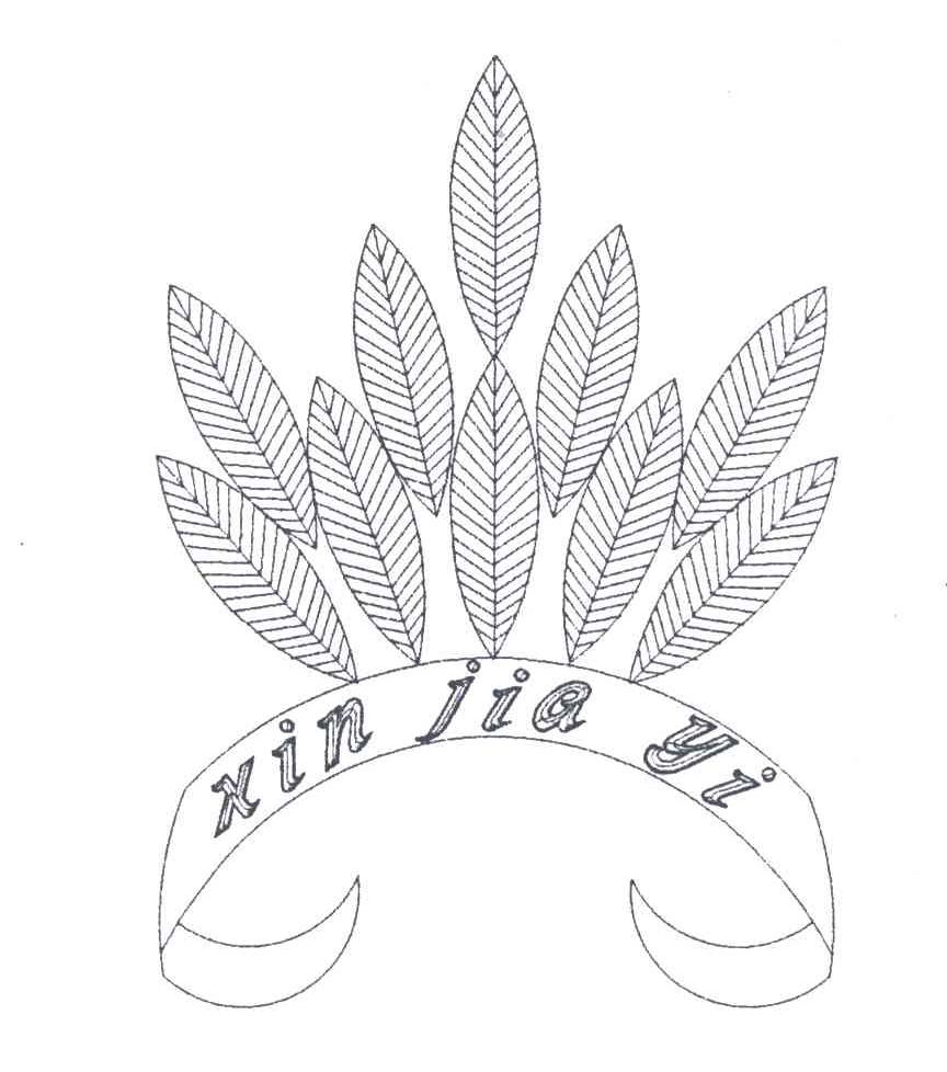 XIN JIA YI及图