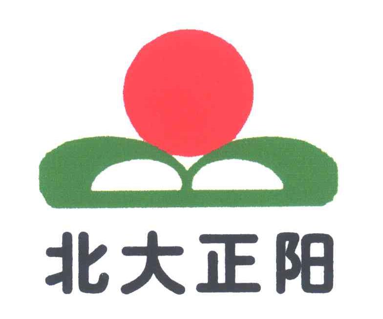 北大正阳