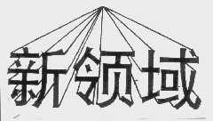 新领域