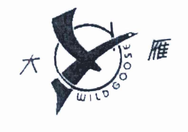 大雁 WILD GOOSE