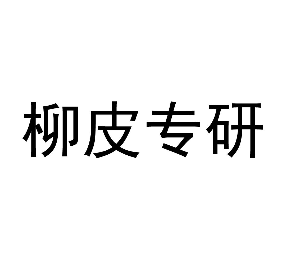 柳皮专研