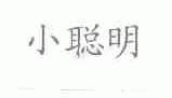 小聪明