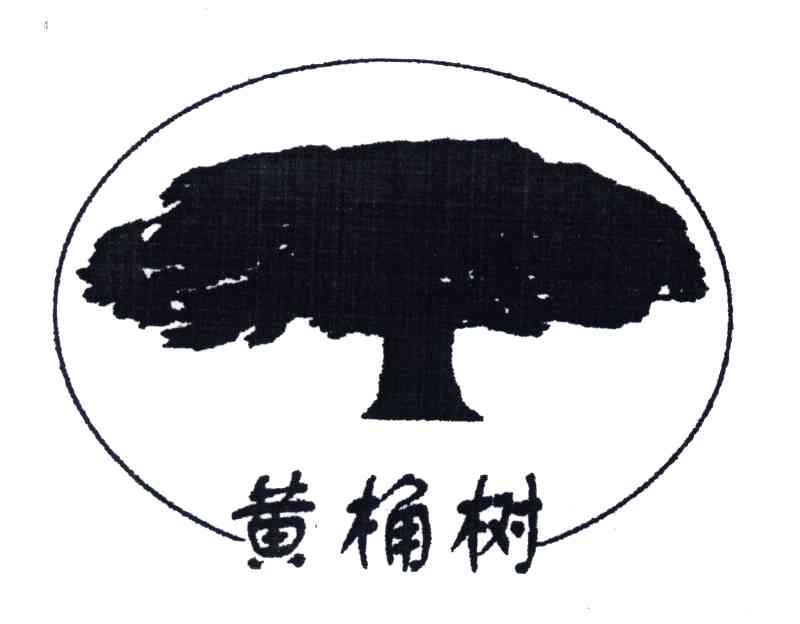 黄桷树
