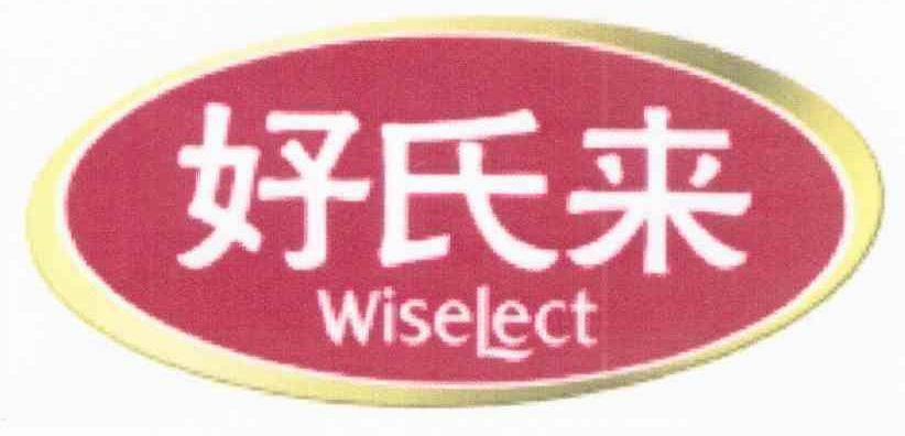 好氏来 WISELECT