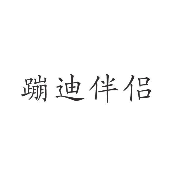 蹦迪伴侣