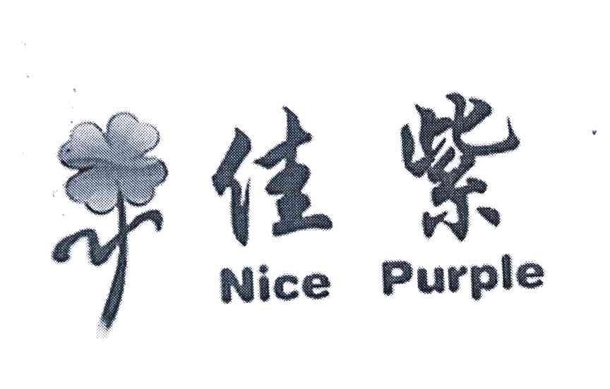 佳紫 NICE PURPLE
