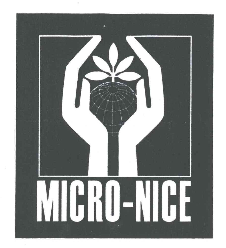MICRO-NICE