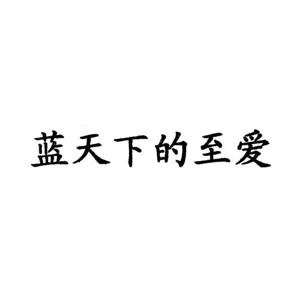 蓝天下的至爱