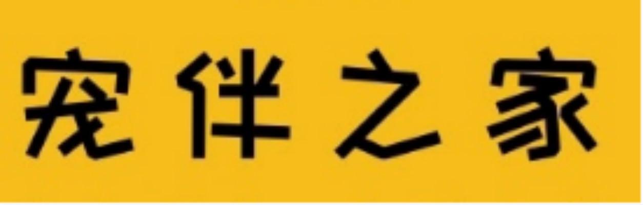 宠伴之家