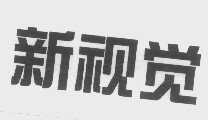 新视觉