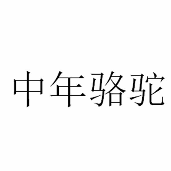 中年骆驼