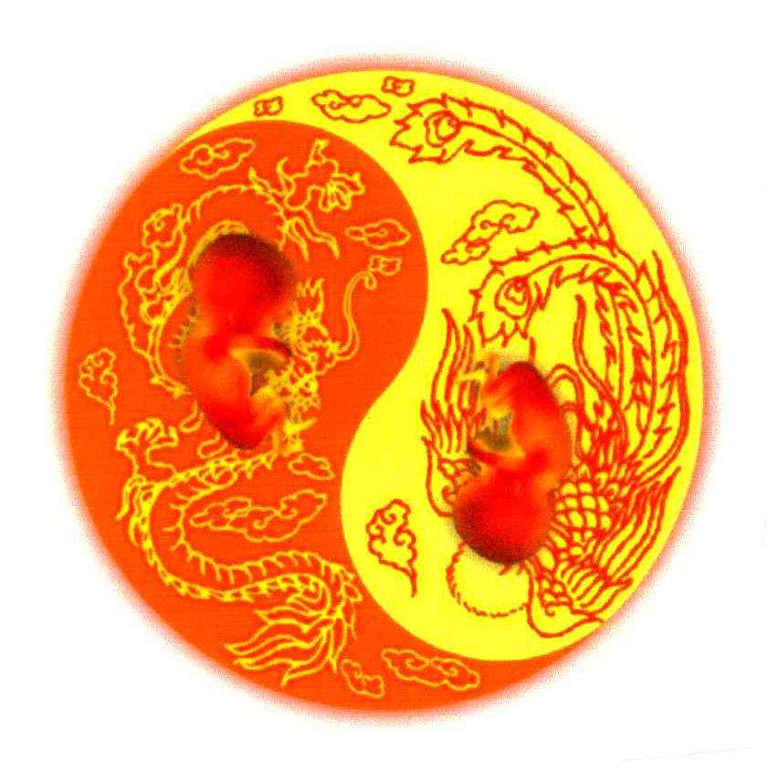 图形