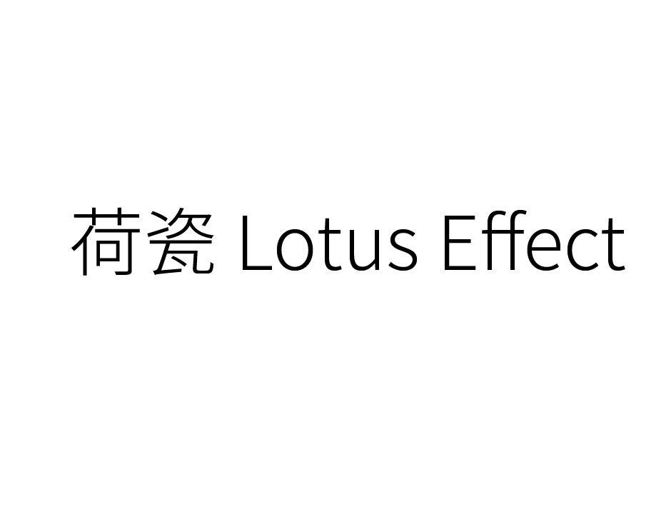 荷瓷  LOTUS EFFECT