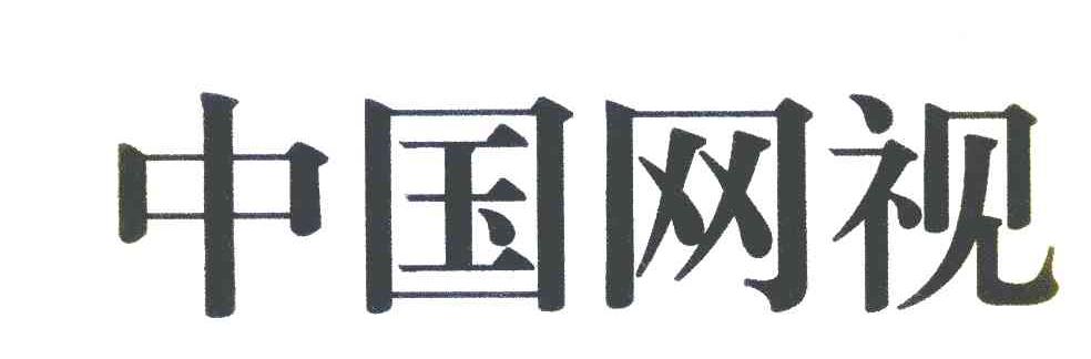 中国网视