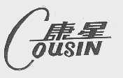 康星   COUSIN