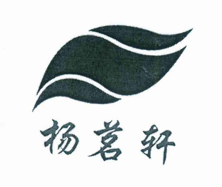 杨茗轩