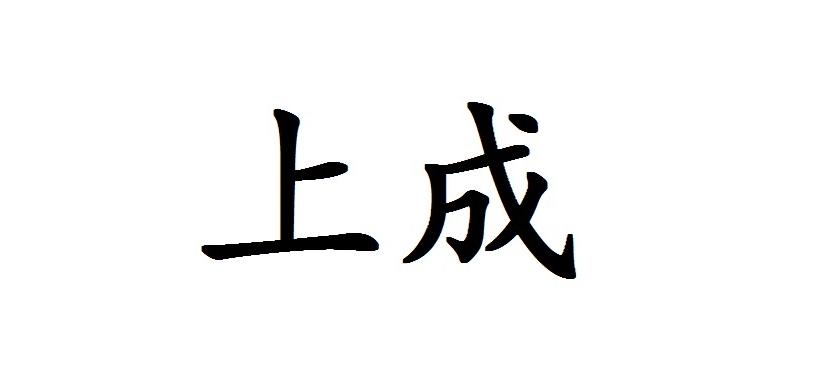 上成