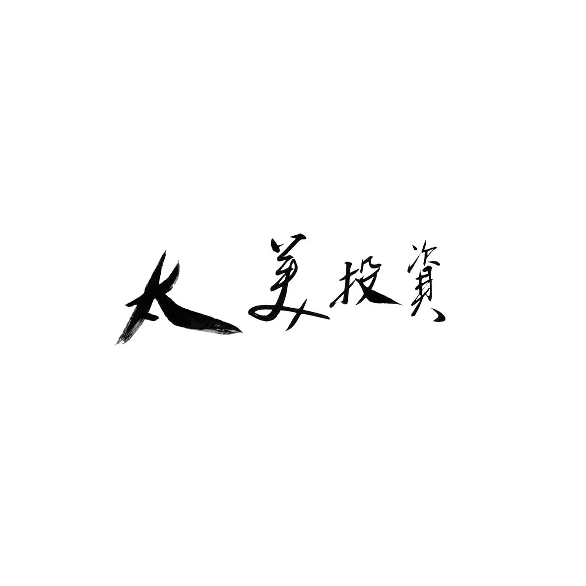 太美投资