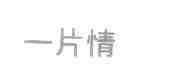 一片情