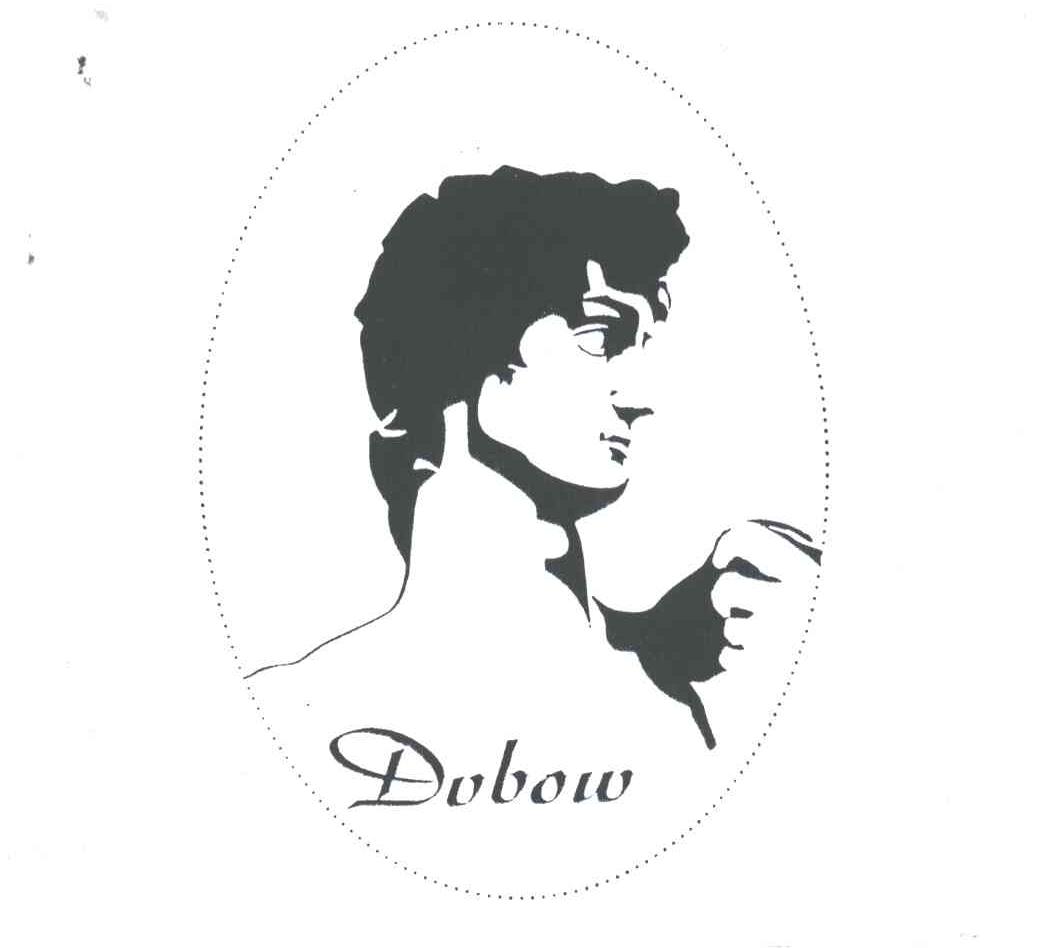 DVBOW及图