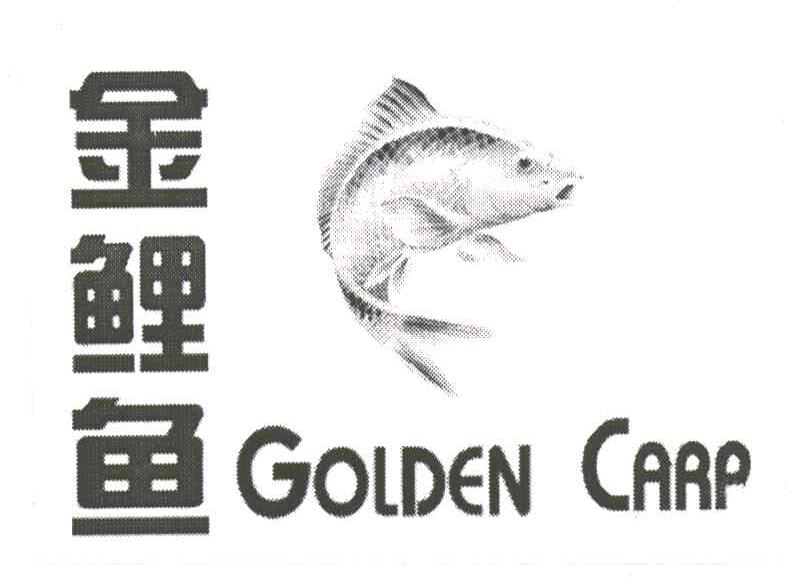 金鲤鱼;GOLDEN CARP