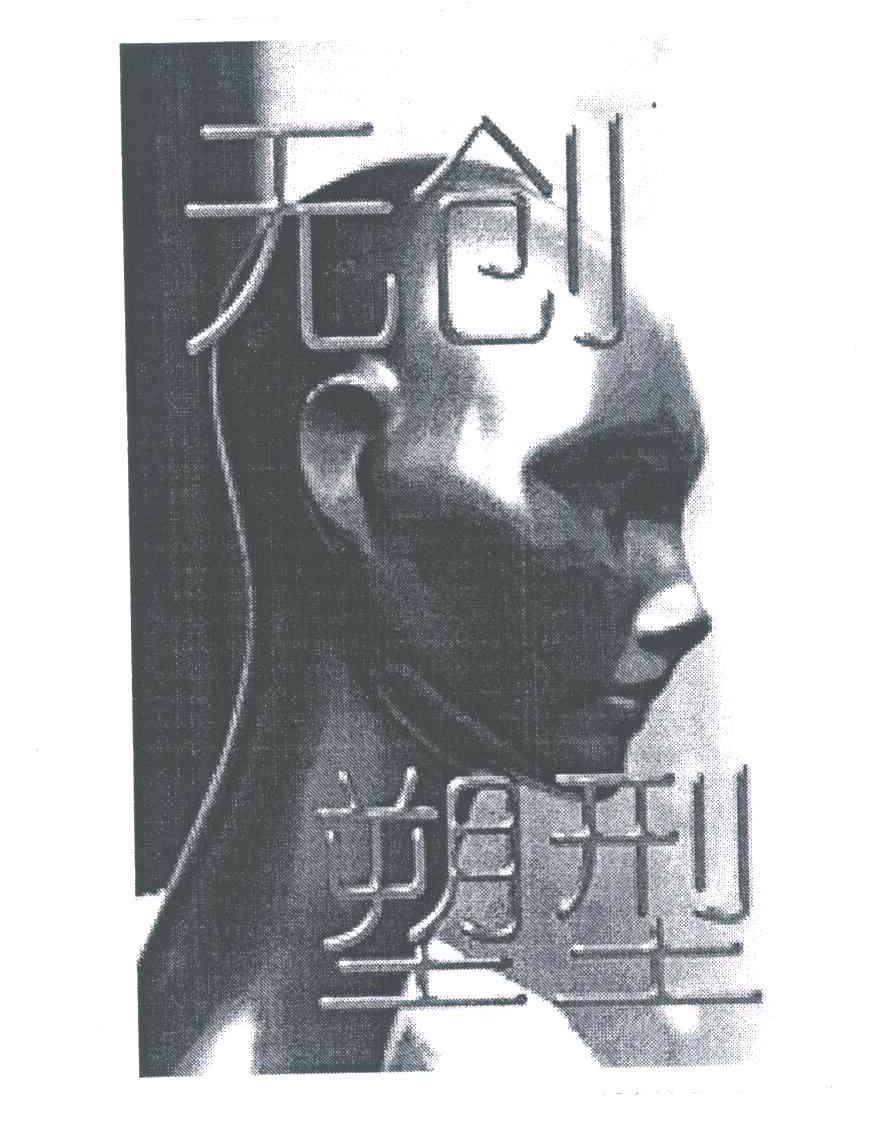 无创塑型