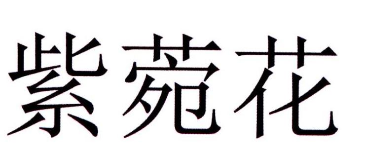紫菀花